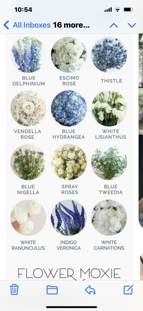 Wedding Flowers With Blue Hydrangeas, Light Blue Wedding Flowers Centerpiece, Types Of Blue Flowers For Wedding, Blue White Sage Wedding, Blue And Cream Wedding Bouquet, Classy Blue Wedding Theme, Blue And White Flowers For Wedding, Outdoor Wedding Blue Theme, French Blue Flowers