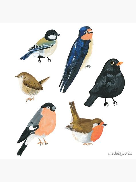 Woodland Birds Illustration, Small Bird Illustration, Gouache Bird Illustrations, Vintage Gouache Illustration, Gouache Birds, Challenges Illustration, Bird Gouache, Earthy Patterns, Athlete Photography