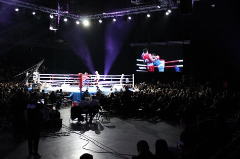 The 60th International Elite Men Boxing Tournament “Golden Glove” (22/26 November 2017, Belgrade, Serbia) Boxing Tournament, 26 November, Belgrade Serbia, Serbia, Boxing, Concert, Quick Saves