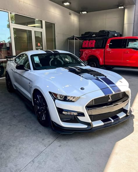 Mustang Gt500 Shelby, Mustang Muscle Car, Gt500 Shelby, Horse Mustang, Mustang Gt Premium, Ford America, Ford Lobo, Red Mustang, Civic Car