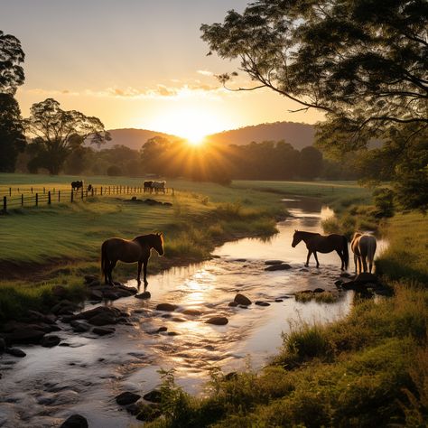 A horse doesn't judge; it listens. Horse Ranches, Horse Hay, Country Field, Cute Horse Pictures, Horse Trail, Beautiful Farm, Horse Property, Majestic Horse, Jesus Painting