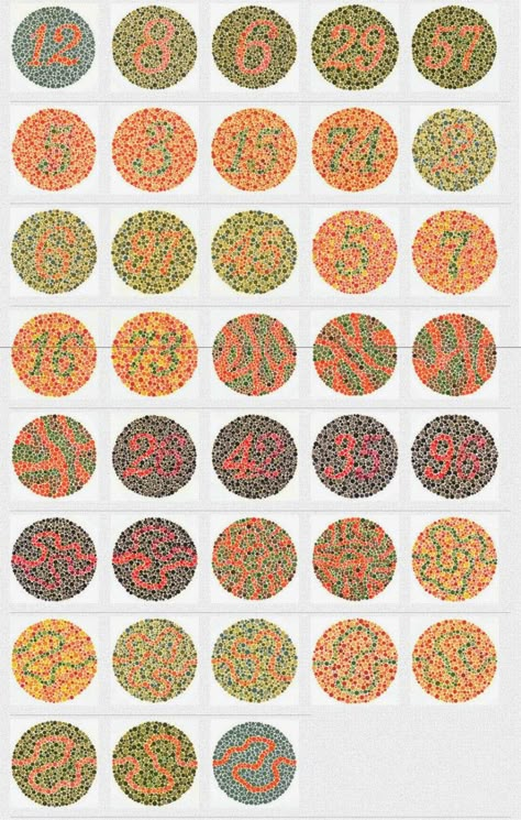 Color Blind Test, Color Vision Deficiency, Science Project Models, Jack Harrison, Colour Blind, Blind Test, Eye Facts, Test Image, Color Vision