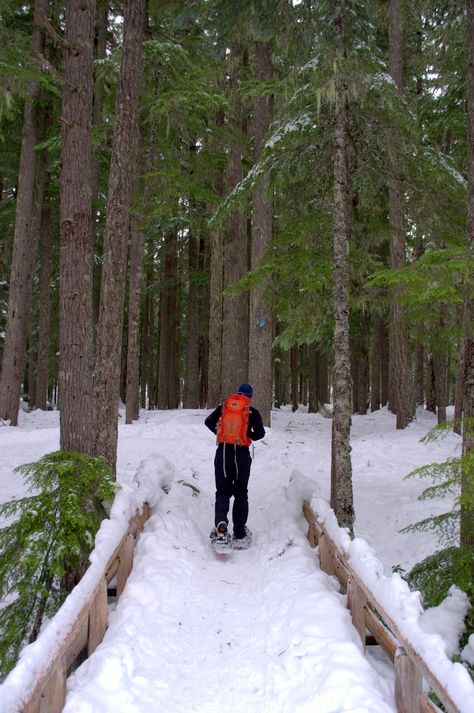 Fall Creek Falls, Fall Creek, Snow Shoes, Outdoor Projects, Day Trip, Portland, Tennessee, Oregon, Bucket List