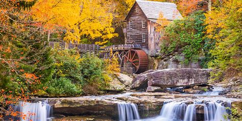 21 Things You Should Know About West Virginia Before Moving Glade Creek Grist Mill, Monongahela National Forest, New York State Parks, Grist Mill, Natural Scenery, Beautiful Places To Visit, Most Beautiful Places, West Virginia, State Parks