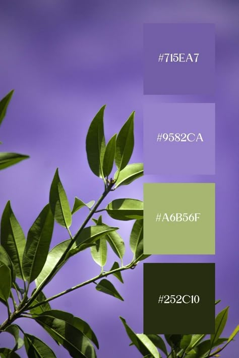 Colour Palette Purple Green, Green And Purple Color Scheme, Purple And Green Colour Palette, Contrasting Colors Palette, Purple Green Color Scheme, Color Palette Green Purple, Green And Purple Palette, Green Purple Color Palette, Purple Green Color Palette