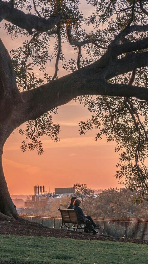 Park Bench Aesthetic, Bench Aesthetic, Pretty Sky Pictures, Indie Background, Lofi Chill, View Aesthetic, Bf Goals, Beach Inspo, Sky Pictures