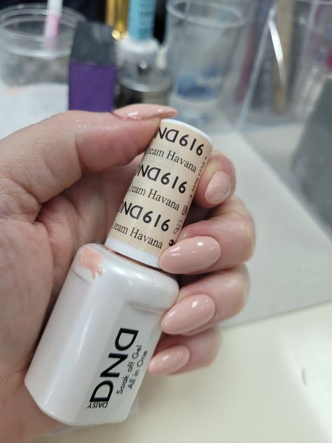 Havana Cream Nails Dnd, Neutral Fall Nails Dnd, Dnd 616 Havana Cream, Neutral Dnd Nail Colors, Dnd Neutral Gel Polish Colors, Dnd Gel Polish Colors Spring 2024, Dnd Natural Gel Color, Dnd Gel Polish Colors Neutral, Dnd Swatches