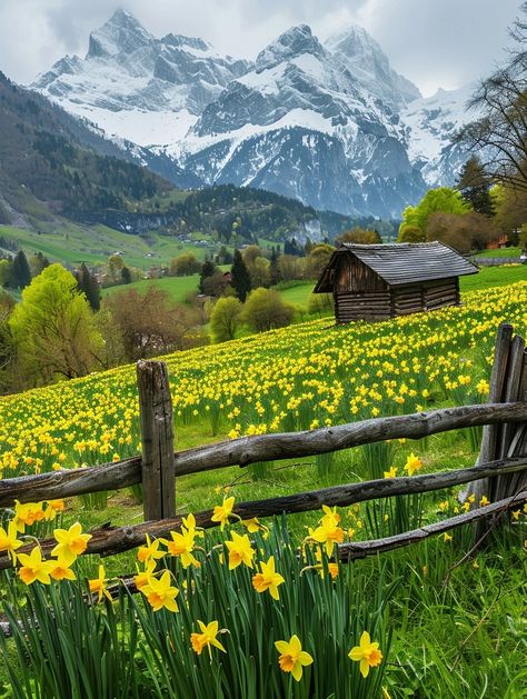 Swiss Alpine Beauty Breathtaking Views, Switzerland, National Park, National Parks, Beauty