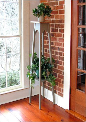 Tall Fern Stand Tall Plant Stand Indoor, Plant Stand Ideas, Mold In Bathroom, Tall Plant, Tall Plant Stands, Single Shelf, Southern Pine, Stand Ideas, Furniture Details Design