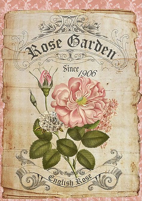 Vintage Store Signs, Vintage Bookplates, English Rose Garden, Nature Paper, Garden Fabric, Bedroom Farmhouse, Floral Poster, Vintage Tin Signs, Flower Background Wallpaper