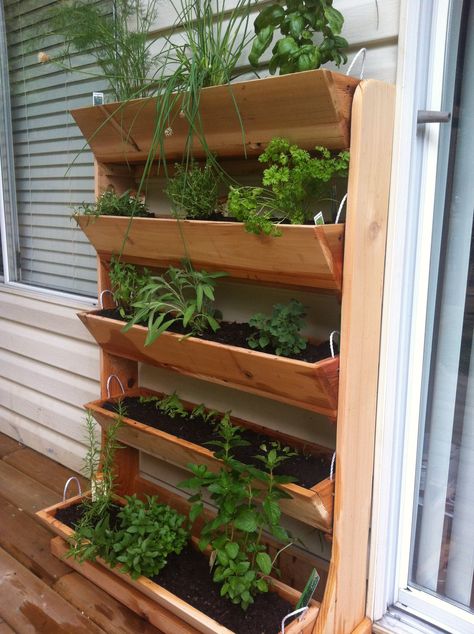 Deck Garden Ideas Vegetables, Deck Herb Garden, Herb Garden Outdoor, Herb Garden Boxes, Hydroponic Gardening System, Patio Herb Garden, Herb Garden Wall, Vertical Garden Plants, Herb Garden Pallet