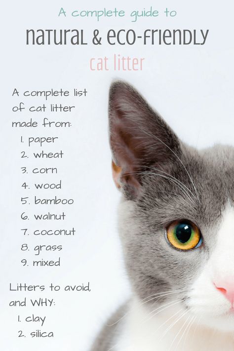 guide to natural eco friendly cat litters Cat Essentials Products, Natural Cat Litter, Corn Husks, Natural Pet Care, Best Cat Litter, Eco Friendly Shopping Bags, Eco Friendly Cleaning Products, Eco Friendly Baby, Cat Care Tips