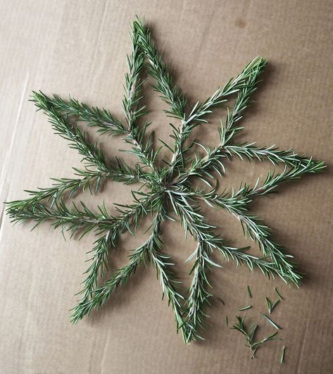 Rosemary Wreath Diy, Rosemary Christmas Tree, Easy Christmas Decor Ideas, Red Trees, Inexpensive Christmas, Natural Christmas Decor, Christmas Decoration Ideas, Simple Christmas Decor, Christmas Tree Garland