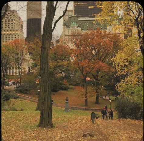 Leaves On The Ground, Rainy Street, Autumn In New York, Season Of The Witch, Fall Feels, Best Seasons, We Fall In Love, Autumn Cozy, Autumn Aesthetic