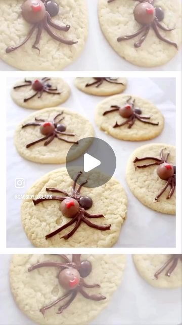 C A S S I D Y  C L A R K on Instagram: "EASY Spider Cookies - just 4 ingredients!!! Sharing these again this spooky season because these are always such a hit every year!! And made extra simple by using @pillsbury Sugar Cookie Dough! You can use your own favorite sugar cookies recipe, of course! But sometimes a shortcut is nice. Whoppers chocolate malt balls for the body, brown @mmschocolate for the head, and melted chocolate chips for the creepy little legs! I added one extra little spooky detail with some red cookie icing (black widow markings), but they’re still perfectly fun without! 🕷 
•
•
•
•
• #sugarcookies #4ingredients #fouringredients #easybaking #easyrecipes #easyrecipe #easycookies #pilsbury #cookiedough #easybake #mandms #chocolatecookies #decoratedcookies #decoratedsugarcook Pillsbury Sugar Cookie Dough, Melted Chocolate Chips, Pillsbury Sugar Cookies, Spider Cookies, Chocolate Malt, Sugar Cookie Dough, Melting Chocolate Chips, Melted Chocolate, Cookie Icing