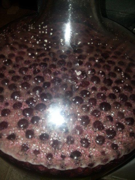 Blueberry mead fermenting in the carboy Blueberry Mead, Mead Making, Making Mead, Mead Recipes, Homemade Wine Recipes, Blueberry Wine, Mead Recipe, Mead Wine, Homemade Alcohol