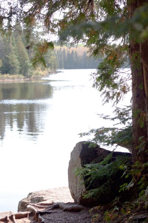 Lake In The Woods, Salad With Beets, Grilled Kale, Fire Watch, Photo Water, Boundary Waters, Lake Side, Lakeside Living, Northern Minnesota