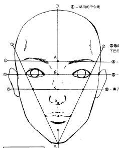 Drawing guidelines for Manga Face Drawing Faces Guidelines, Facial Details Drawing, Face Portions Drawing, Face Guidelines Drawing Realistic, Guide Lines Drawing Face, Portrait Tips Drawing, Facial Structure Drawing, Face Features Drawing, Basic Face Drawing