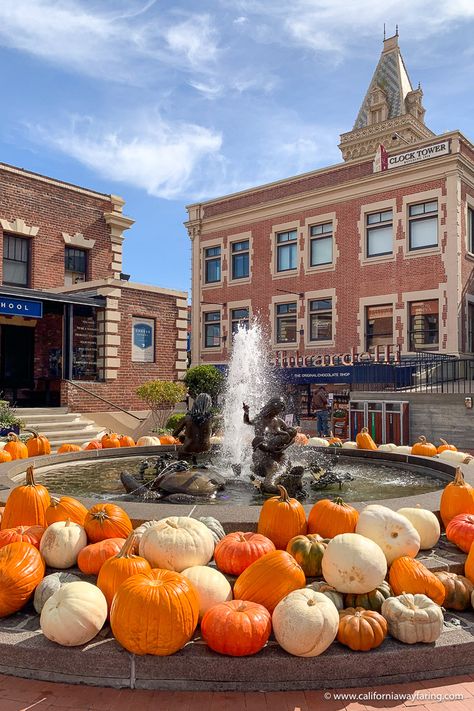 Ghirardelli Square at Halloween Autumn In California, Nevada Mountains, Tahoe City, Pismo Beach, Disneyland California, Ghost Tour, San Diego County, Halloween Event, Get Outdoors