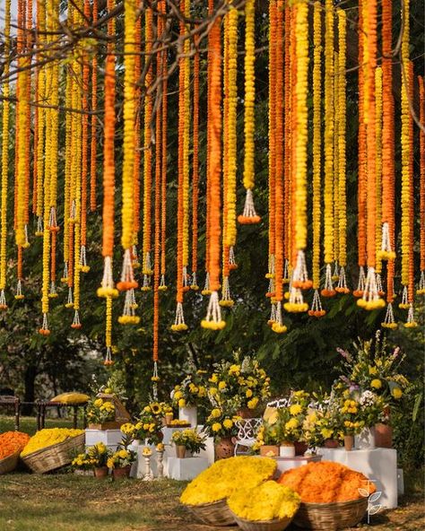 The Petite Project on Instagram: "Painting the town yellow, one ritual at a time :p   बहार//Spring Dhruv + Pippa Karjat  Design, Decor and Flowers @thepetiteproject_  Design Assistance @shanijshabu @_tulsidetroja_  Production @allattractiveevents  📸 @shwetarane.in   #bahaar #haldiceremony #haldidecor #haldiphotography #traditionaltwist #celebratinghaldi #yellowhues #haldi #spring #marigold #floristsofinstagram #floristtip #artist #floralart #flowerinstallation" Haldi Decor Inspiration, Marigold Haldi Decor, Indian Wedding Decorations Mehndi Decor, Indian Wedding Marigold Decor, Fun Haldi Ideas, Spring Decor Wedding, Haldi Passage Decor, Genda Flower Decoration, Mayun Decoration