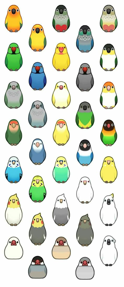 Parakeet Wallpaper, Budgie Tattoo, Parakeet Drawing, Green Budgie, Parrot Wallpaper, Parrot Drawing, Easy Disney Drawings, Cute Images For Wallpaper, Budgies Bird