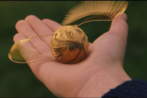 the Golden Snitch Harry Potter Music, Harry Potter Magic, Golden Snitch, The Best Series Ever, Harry Potter Love, Best Friendship, Daniel Radcliffe, Harry Potter Movies, Inspiring Images