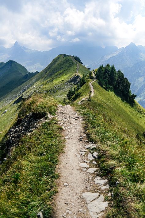 Mountains Hiking, Hiking In The Mountains, Hiking Mountains, Hiking Path, Mountain Trail, Beautiful Hiking Trails, Hiking Trail, Trail Aesthetic, Mounteneering Hiking