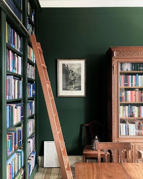 Dark Green Living Room, Colours Of Nature, Oval Room Blue, Duck Green, Green Dining Room, Green Name, Colour Consultant, Decorating Advice, Farrow And Ball