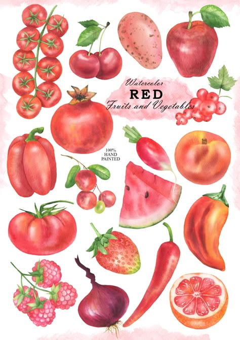 Watercolor Red Fruit and Vegetables Clipart Farm and Kitchen - Etsy Ukraine Red Fruit And Vegetables, Fruits And Vegetables Illustration, Red Veggies, Watercolor Fruits And Vegetables, Red Fruits And Vegetables, Vegetables Watercolor, Watercolor Vegetables, Fruits Illustration, Red Vegetables