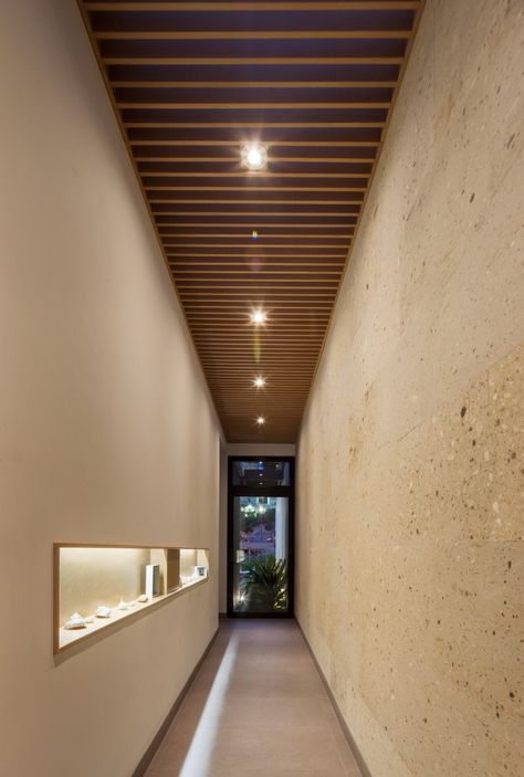 Ming House / LGZ Taller de Arquitectura Vertical Plant Wall, Hallway Ceiling, Wooden Ceiling Design, Houses In Mexico, Corridor Design, Ceiling Design Modern, Lobby Design, Wooden Ceilings, False Ceiling Design