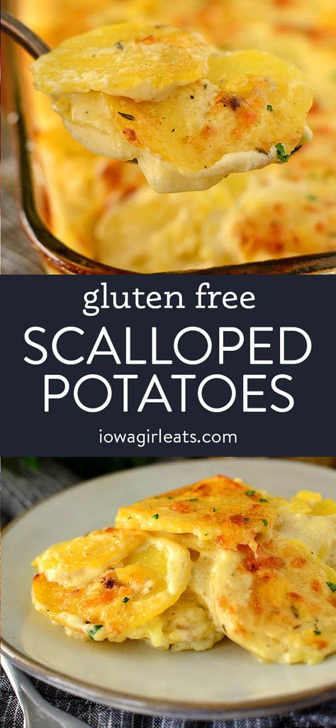 Gluten Free Scalloped Potatoes - Iowa Girl Eats Gluten Free Scalloped Potatoes, Gluten Free Holiday, Gluten Free Sides, Gluten Free Thanksgiving, Gluten Free Potatoes, Gluten Free Sides Dishes, Scalloped Potato Recipes, Gluten Free Christmas, Gluten Free Dishes