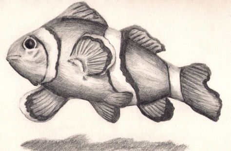 Fish Pencil Drawing, Animal Stencil Art, Fish Project, Fish Sketch, Pencil Drawing Images, Best Drawing Ideas, Animal Caricature, Drawn Fish, Manga Tattoo