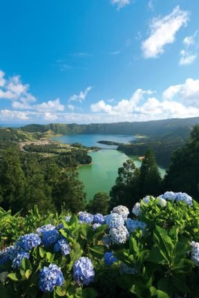 Azores Islands, Azores Portugal, São Miguel Island, Blue Hydrangeas, Vacation Goals, Portugal Travel, Spain And Portugal, Beautiful Places In The World, Short Trip