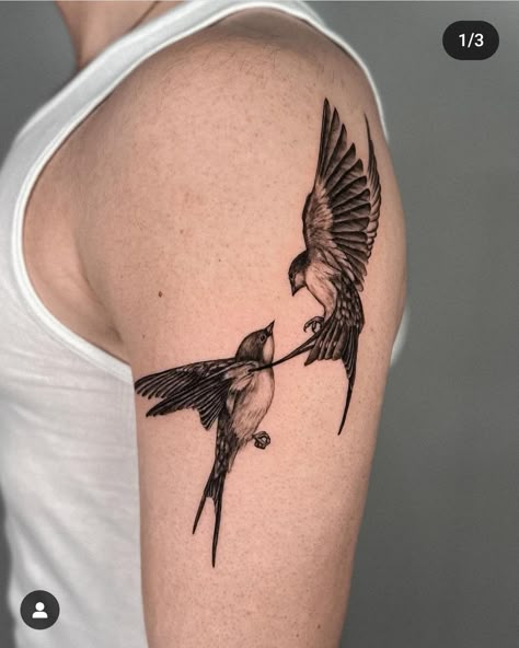 Pair Of Swallows Tattoo, Hand Holding Bird Tattoo, Illustrative Blackwork Tattoo, Robin Tattoo Black And White, Two Bird Tattoo, Flying Dove Tattoo, Barn Swallow Tattoo, Two Birds Tattoo, Swallow Tattoos