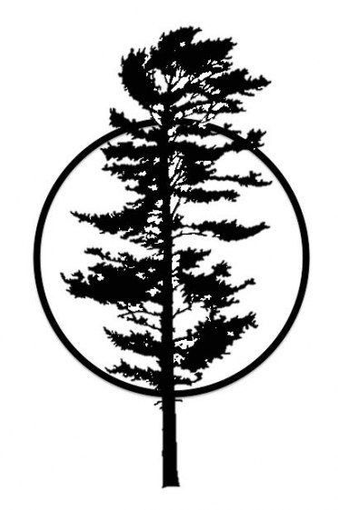 White Pine Silhouette, Jack Pine Tattoo, White Pine Tree Tattoo, White Pine Tattoo, Spruce Tree Tattoo, Tree Silhouette Tattoo, Pine Tattoo, Tree Tattoo Arm, Pine Tree Drawing