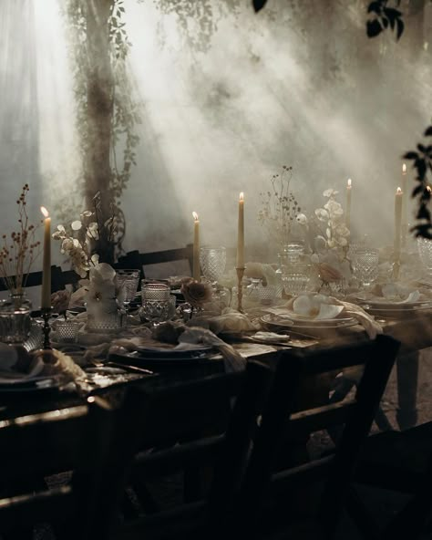 MemoryBox Photography Gothic Dinner Party, Jungle Luxury, Gothic Dinner, Luxury Instagram, Goth Wedding, The Lane, Editorial Wedding, Gothic Aesthetic, Wedding Mood Board