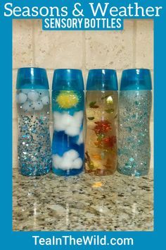 Seasons And Weather Sensory Bottles, Sensory Bottles Seasons, Dollar Tree Sensory Bottles, Day And Night Sensory Bottles, Weather Bottles Preschool, Learning About Seasons Preschool, Preschool Sensory Crafts, Core Water Bottle Crafts, Teacher Made Materials For Infants