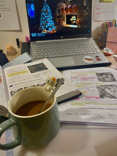 #christmas #revision #dentalstudentlife #cocooning #coffee #anatomy #exam #chill December Study Aesthetic, Christmas Studying Aesthetic, Christmas Study Aesthetic, Coffee Anatomy, Winter Manifestations, Winter Studying, Romanticising Winter, Revision Motivation, Winter Study