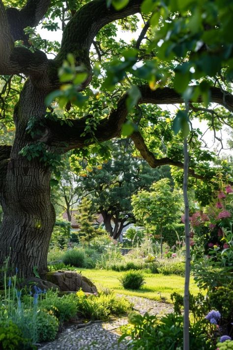 Transform your yard with stunning ideas that thrive in the cool shade of oak trees! From colorful flower gardens to cozy seating areas and enchanting pathways, you’ll discover how to make the most of that rich canopy. Opt for shade-loving plants that beautify the area while providing charm and comfort for gatherings under the oak branches. This guide offers 10 unique tips so you can enjoy outdoor living harmoniously with nature, while creating a peaceful retreat. Get inspired to turn your space into an inviting paradise below your majestic oaks! Oak Trees Landscaping, Large Oak Tree, Tree With Flowers, Tree Mulch, Backyard Balcony, Live Oak Trees, Tree Landscape, Cozy Seating, Oak Trees