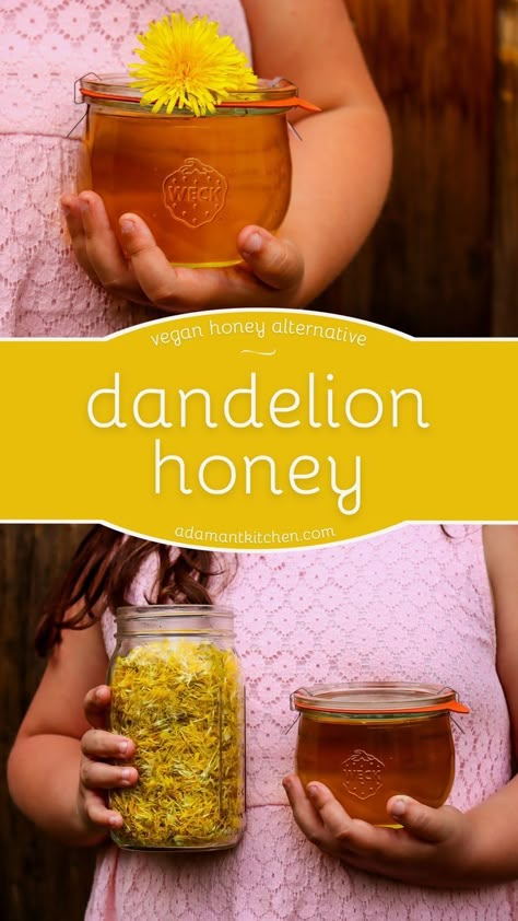 Dandelion Honey Recipe, Dandelion Recipe, Dandelion Ideas, Herb Preservation, Honey Alternative, Dandelion Honey, Spring Foraging, Vegan Dressings, Vegan Honey