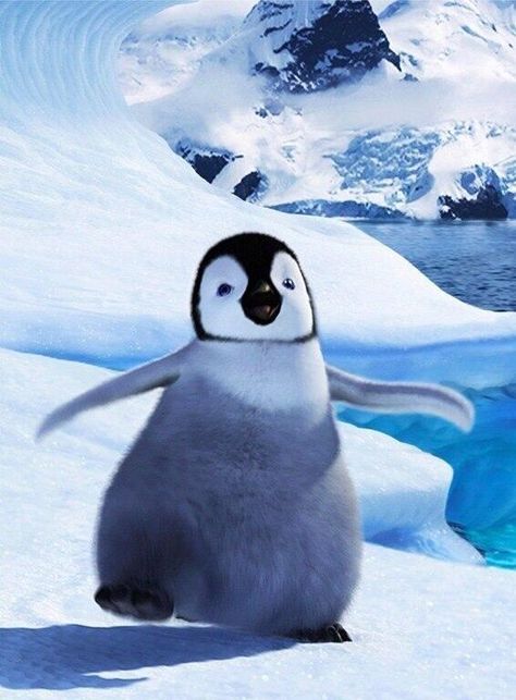 The epitome of a happy feet penguin Penguin Wallpaper, Penguin Pictures, Cutee Animals, Fauna Marina, Penguins Funny, Penguin Love, Cute Penguin, Baby Penguins, Cute Penguins