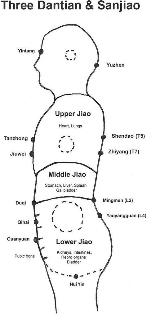 TCM Singapore: An Overview Of San Jiao And Lymphatic System Microcosmic Orbit, Mantak Chia, Tcm Traditional Chinese Medicine, Shiatsu Massage Acupressure, Chi Gong, Tai Chi Qigong, Chi Kung, Tai Chi Chuan, Western Medicine