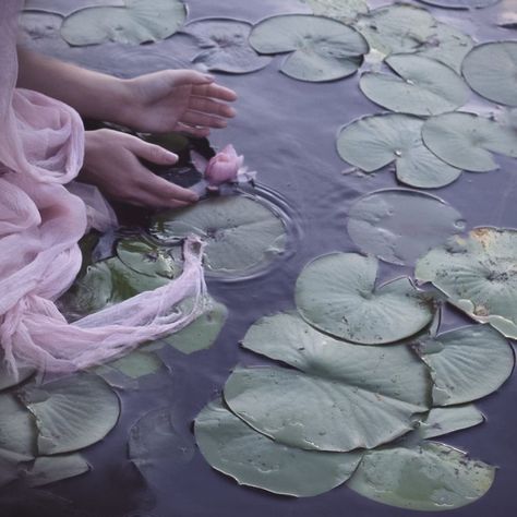 Kayla + Core + Aesthetic, My Surroundings, Fairytale Aesthetic, My Relationship, Fantasy Aesthetic, + Core + Aesthetic, Soft Summer, Water Lilies, Character Aesthetic