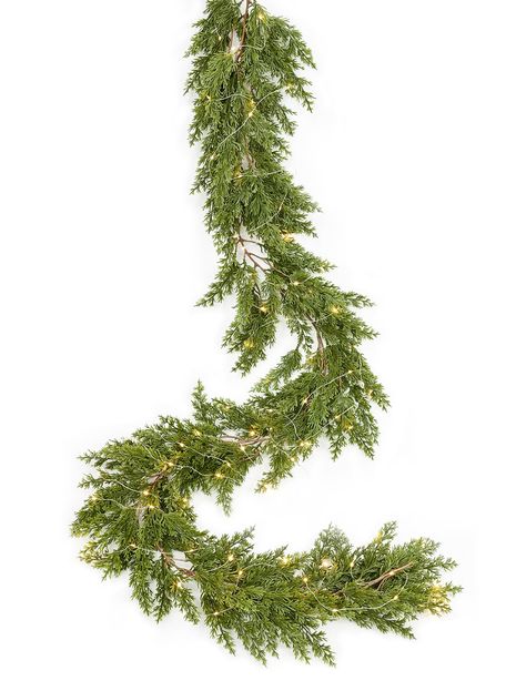 Noble fir tree