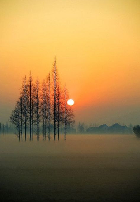 ✧ Mesmerizing Nature ✧ — Nice to meet you.. Nature Landscape Photography, Foggy Day, Soyut Sanat Tabloları, Nature Wallpaper, Beautiful Sunset, Watercolor Landscape, Landscape Photos, Beautiful Photography, Amazing Nature