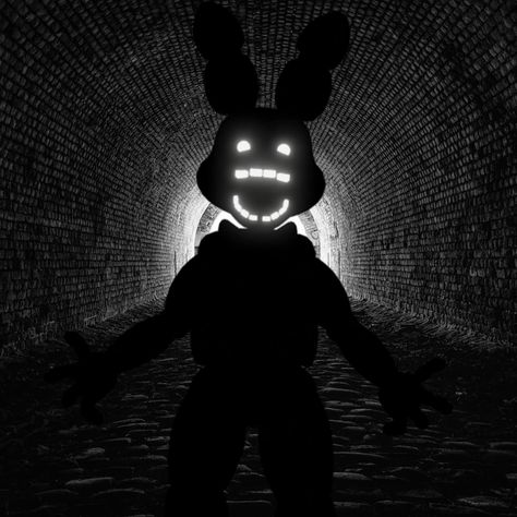 Shadow Bonnie Pfp, Fnaf Shadow Bonnie, Doors Memes, Fnaf Vhs, Shadow Bonnie, Sasuke Wallpaper, Human Shadow, Freddy 2, Fnaf 2