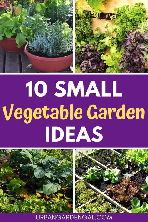 Small Vegetable Garden Ideas, Vegetable Garden Layout Design, Small Vegetable Garden, Small Garden Layout, Vegetables Garden, Tattoo Plant, Vegetable Garden Ideas, Small Vegetable Gardens, Garden Layout Vegetable