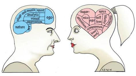 Apparently, there is little evidence of real differences between the male and female brains. 16 Weeks Pregnant Ultrasound, Brain Scan, Brain Science, Gender Roles, Love Advice, Learning Styles, Eyes Design, Gender Identity, Documentary Film