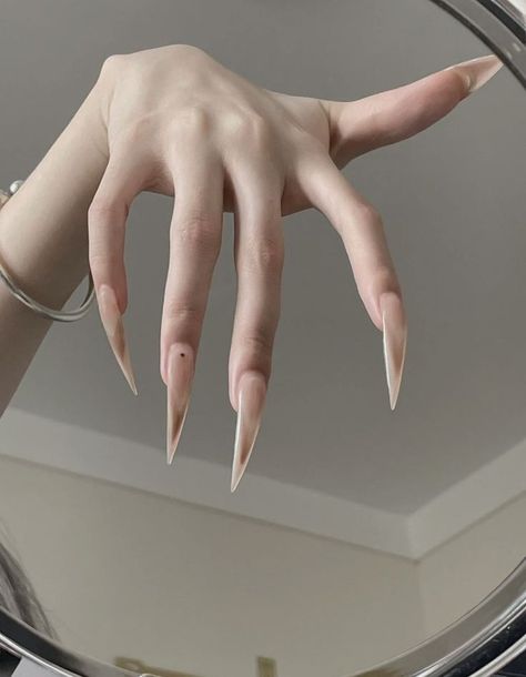 Claws Nails Aesthetic, Sharp Claws Nails, Claw Nails Aesthetic, Clear Stilletos Nails, Claws Aesthetic, Vampire Nails, Sharp Nails, Claw Nails, Goth Nails