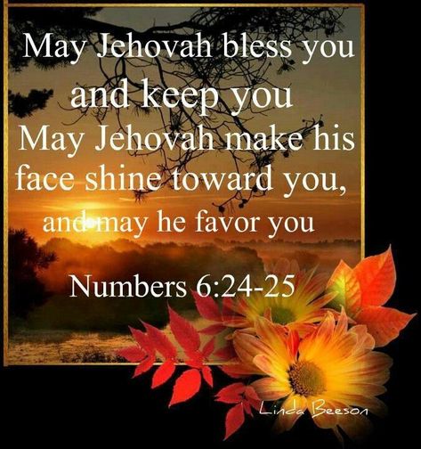 Jehovah Witness Bible, Jw Life, Jw Bible, Jehovah Quotes, Jehovah Witness Quotes, Jehovah Witness, Bible Images, Favorite Scriptures, Spiritual Thoughts